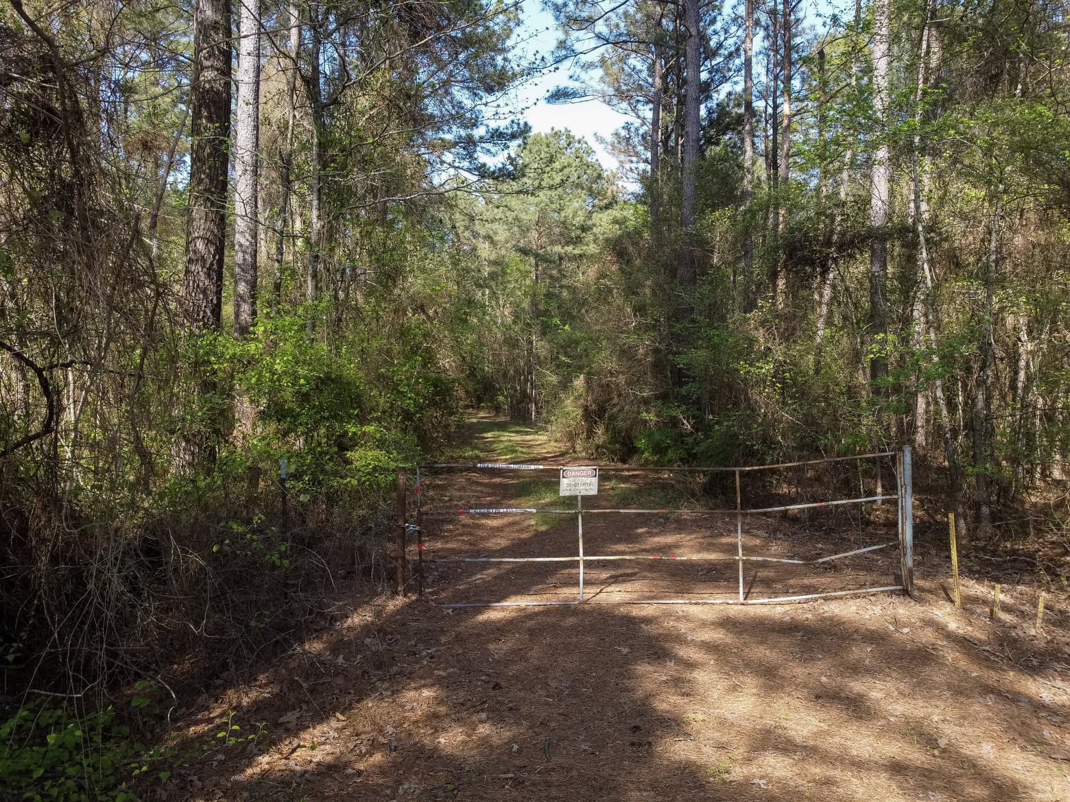 Longstraw 53 (Tract 2) Jackson Parish Timberland