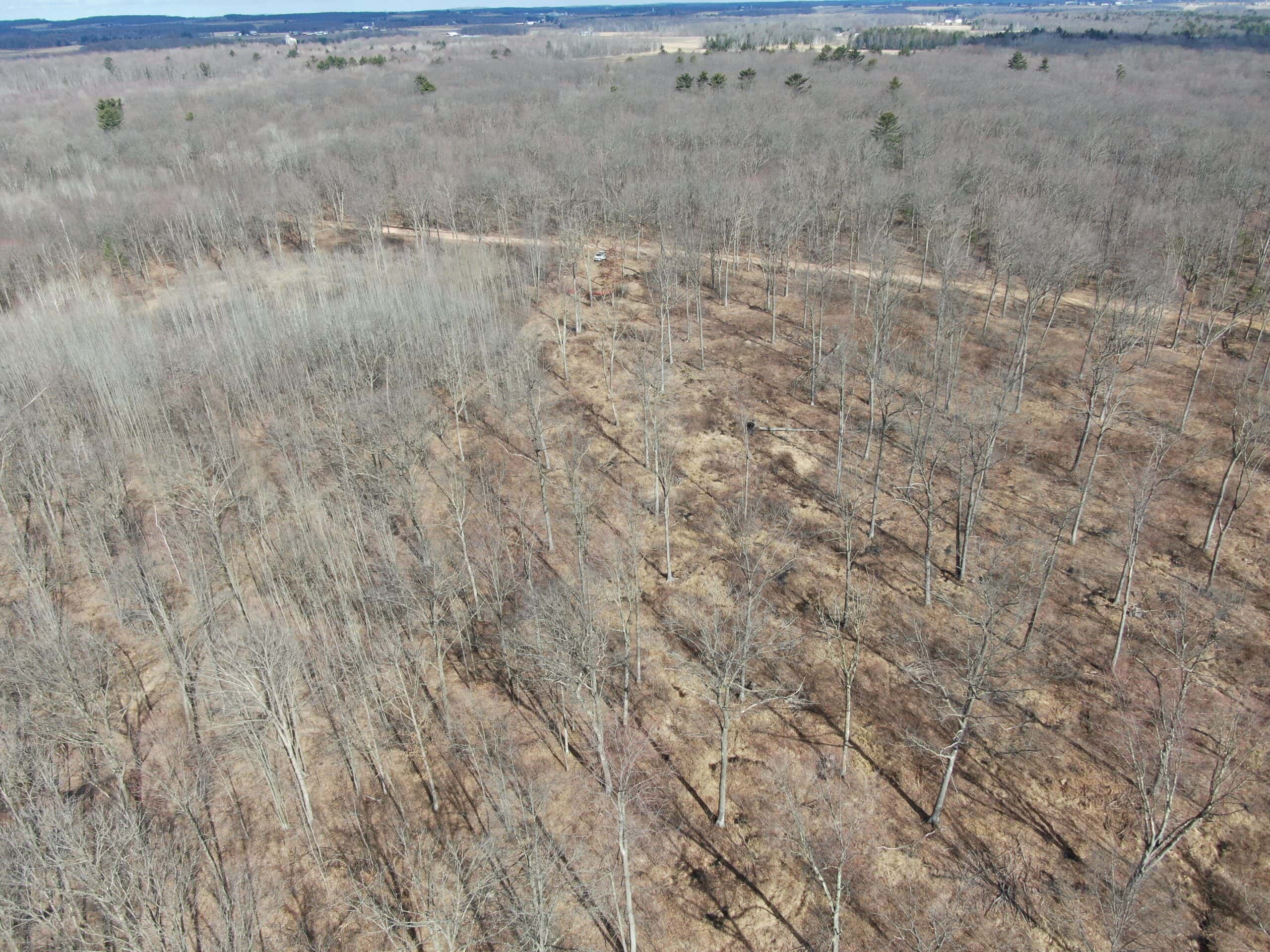 75-acre parcel in the heart of Clark County Wisconsin