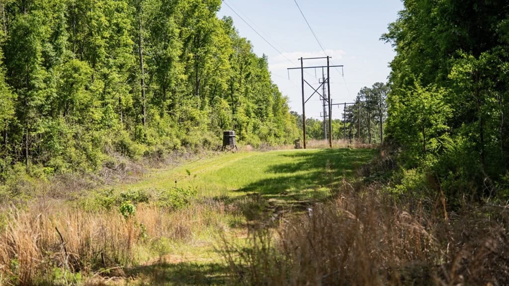 Deer and Turkey Property in Pike County, MS