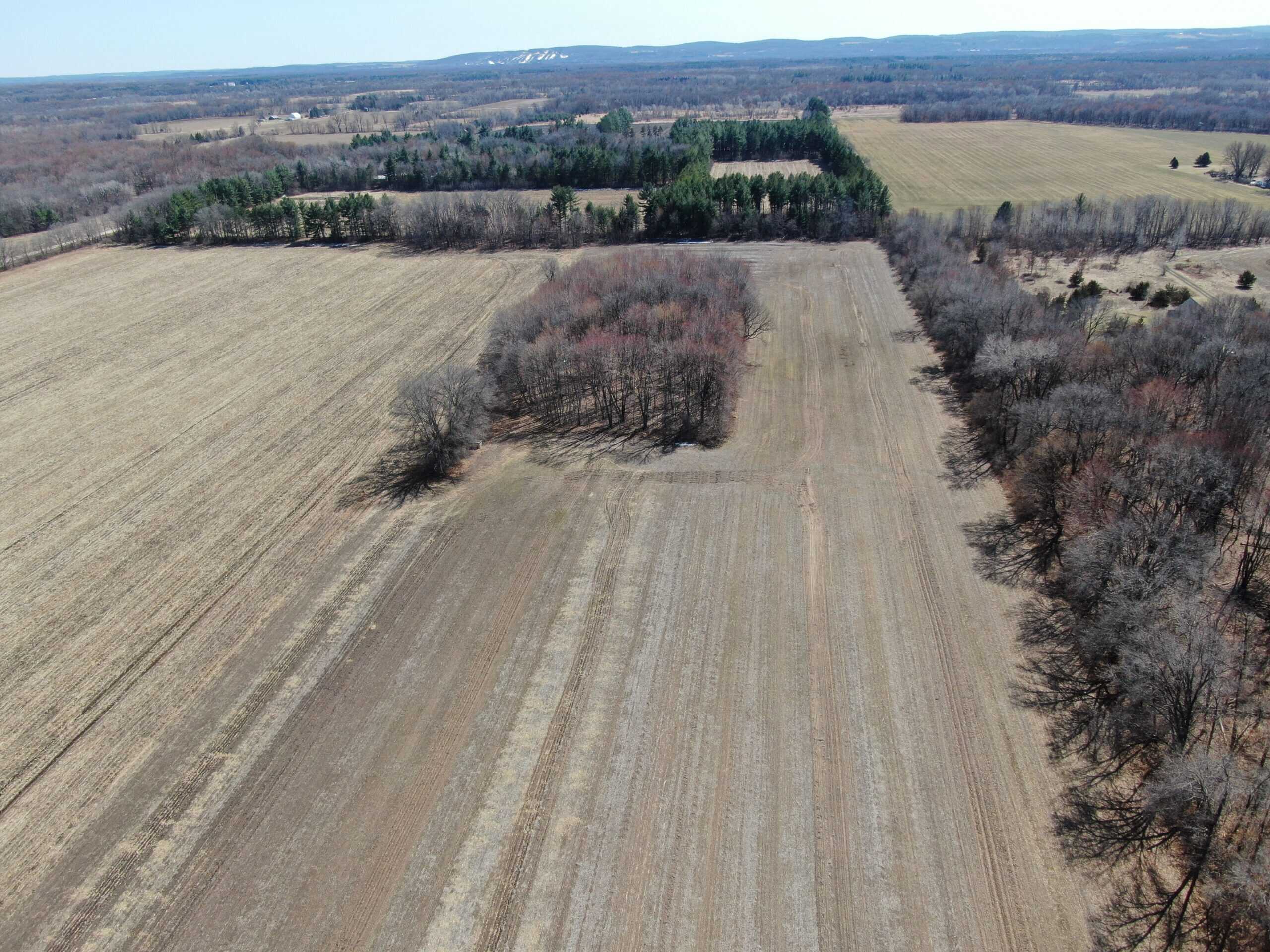 97.48± Acres of Tillable Land for Sale – Columbia County, WI