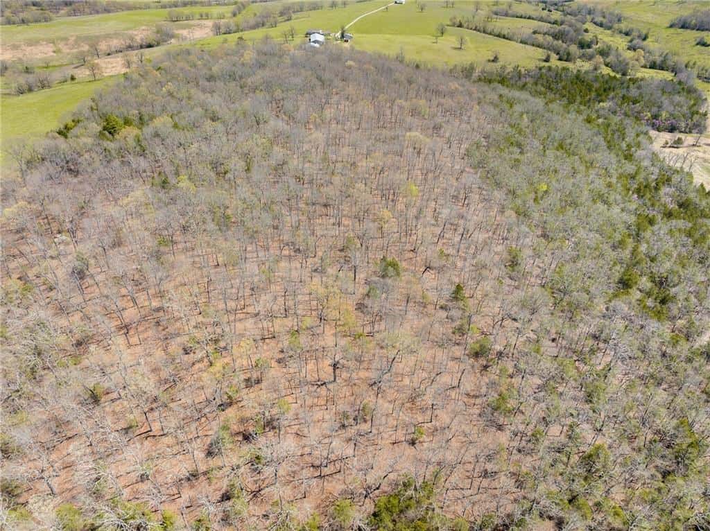 120 Acres Arkansas Hunting Land For Sale with Creek Frontage and Trails