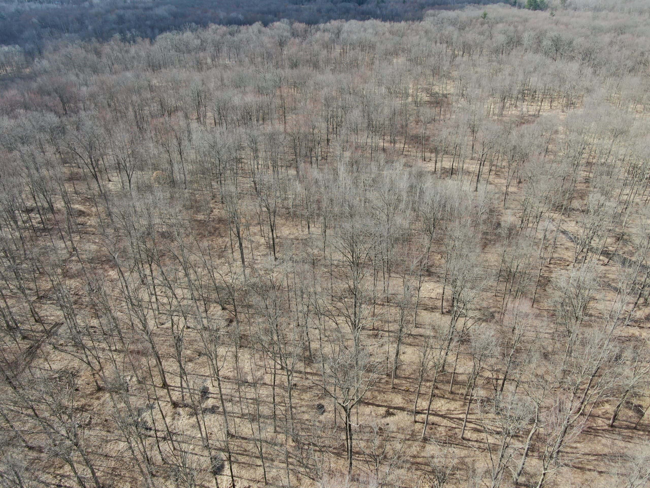 75-acre parcel in the heart of Clark County Wisconsin