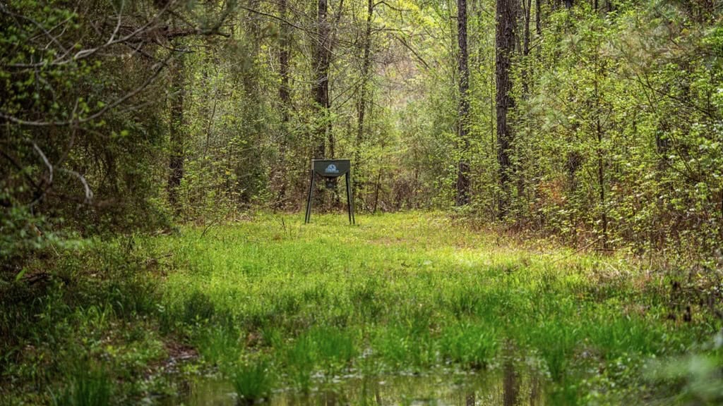 Affordable Property in Woodville, MS