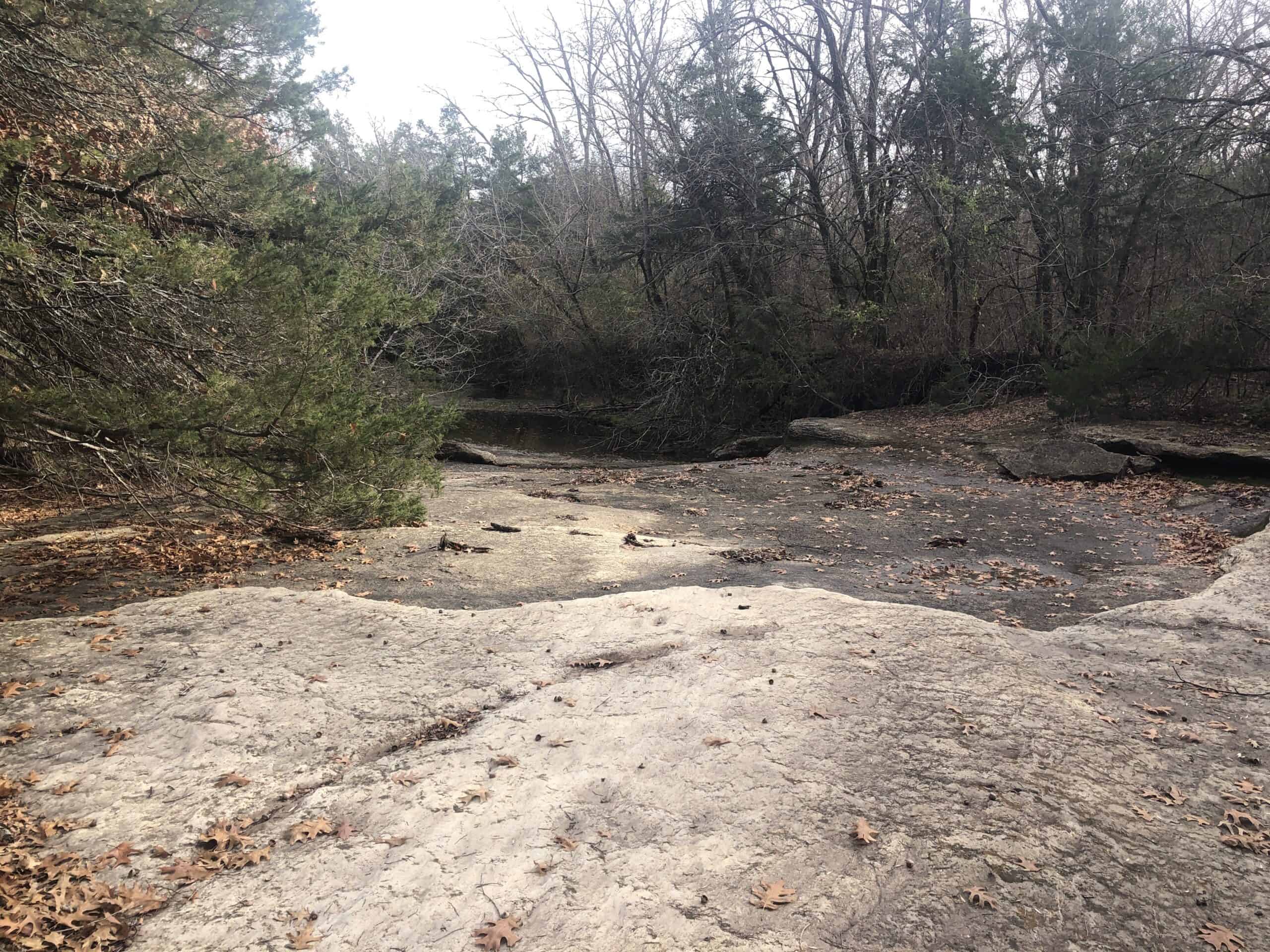 Wooded Acreage For Sale Roxton TX
