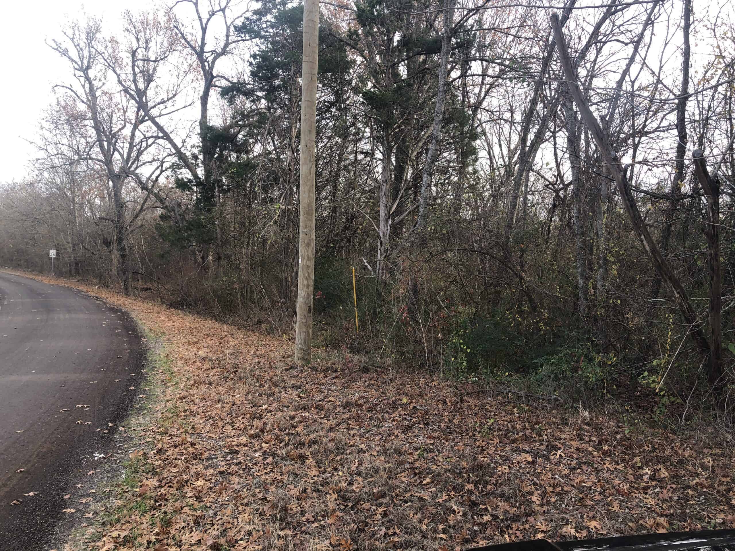 Wooded Acreage For Sale Roxton TX
