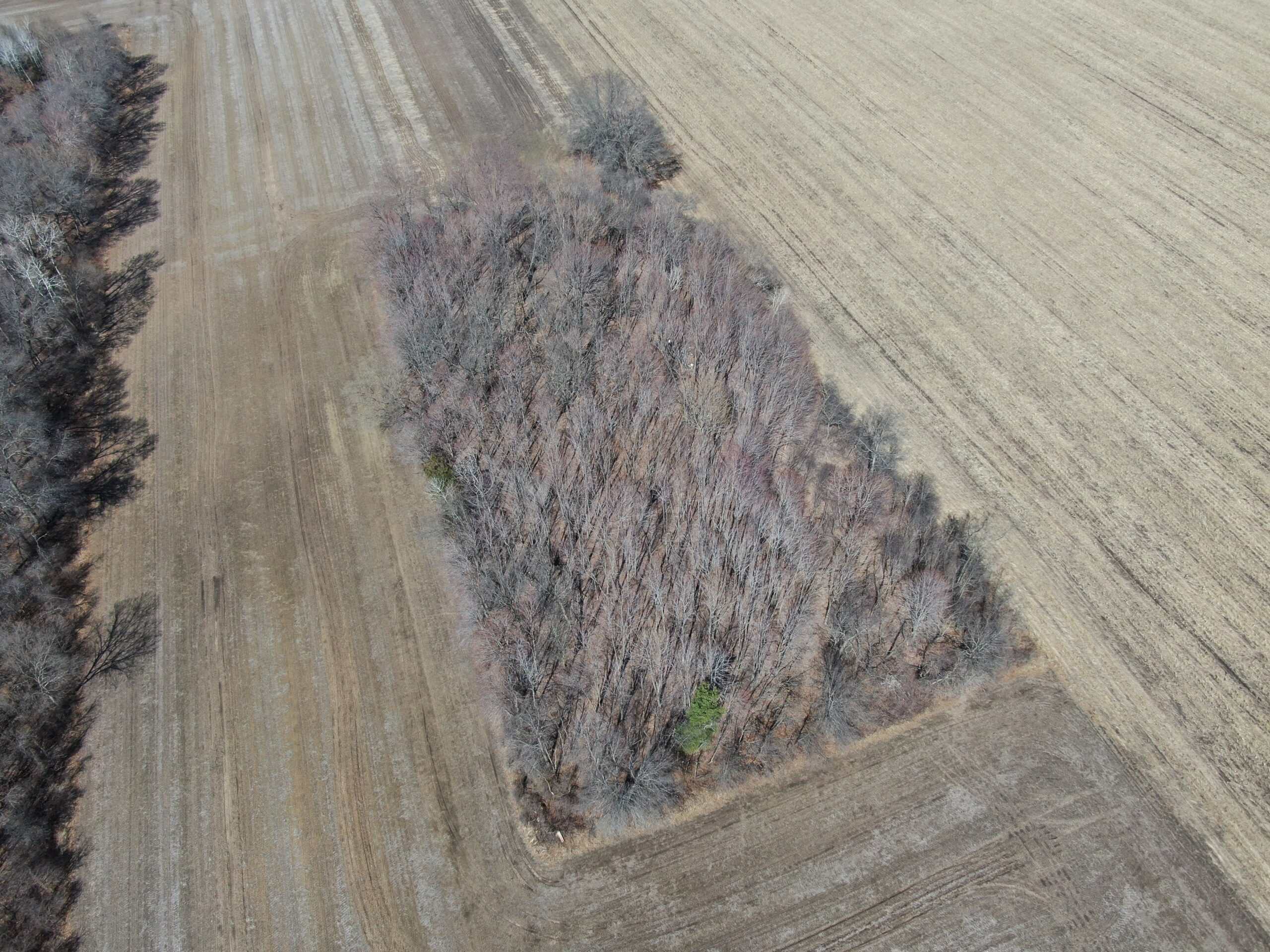97.48± Acres of Tillable Land for Sale – Columbia County, WI
