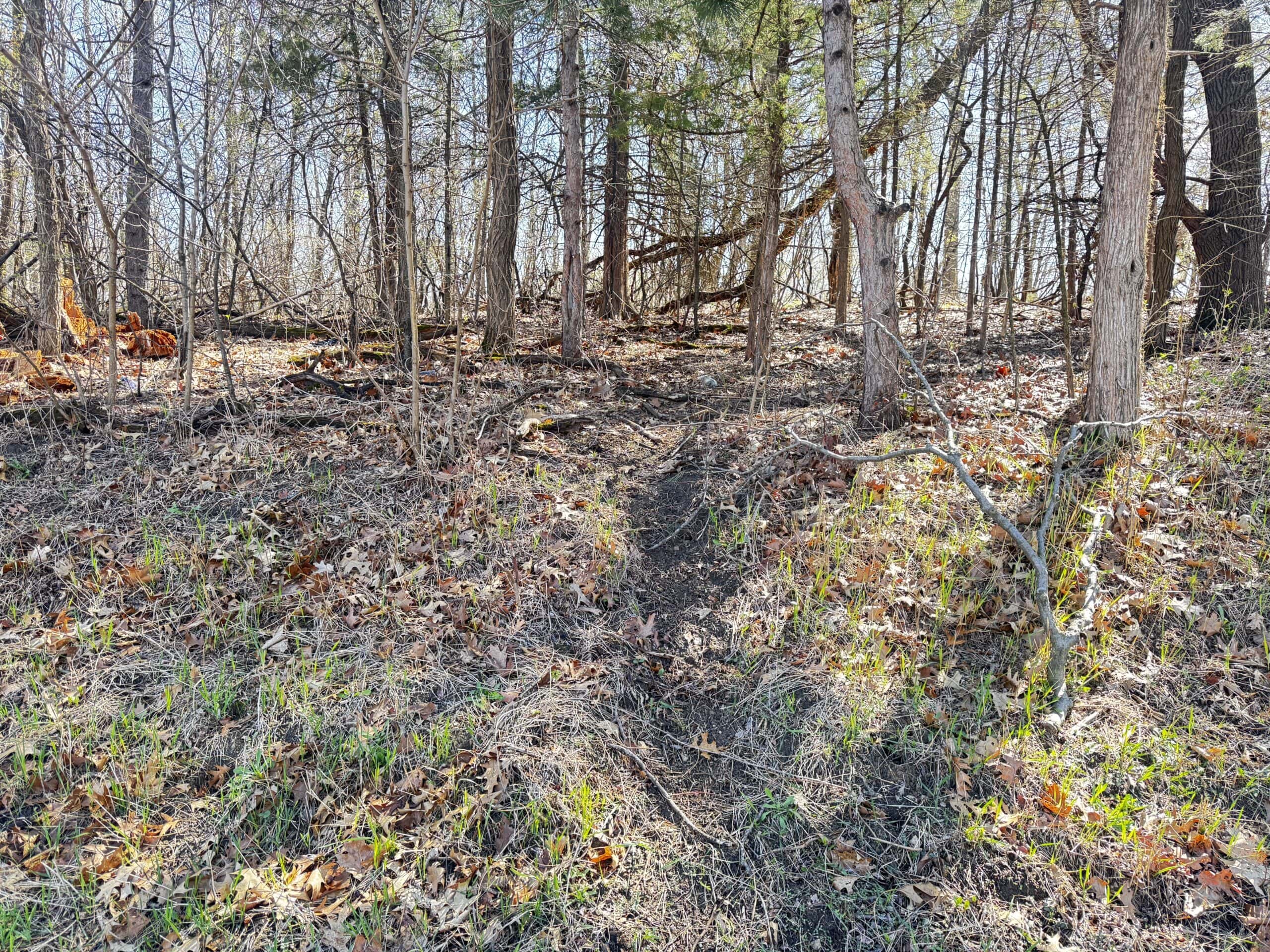 2 Properties Marquette County Online Only Auction