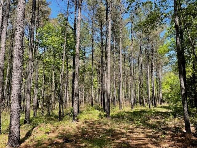 40 Acres For Sale Starkville MS
