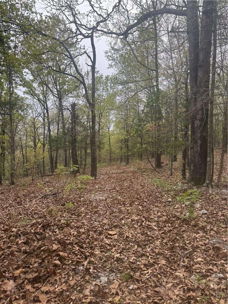 120 Acres Arkansas Hunting Land For Sale with Creek Frontage and Trails