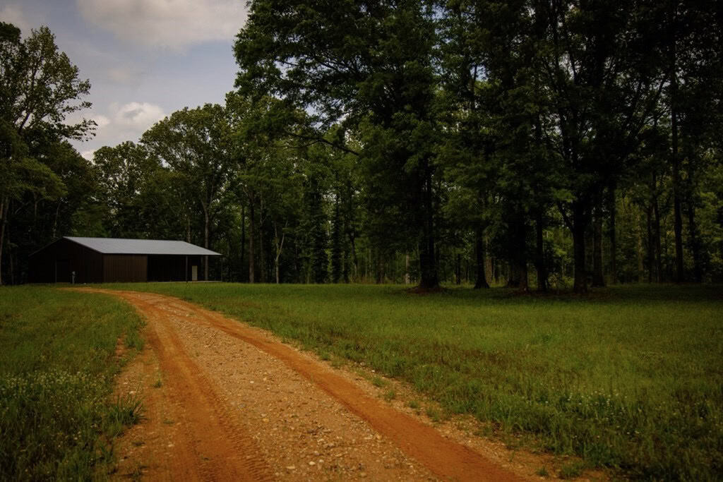 Deer, Duck, and Turkey Hunting in Claiborne County, MS