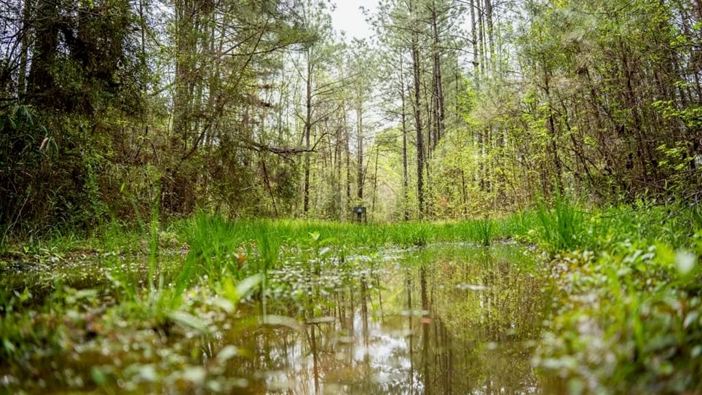 Affordable Property in Woodville, MS