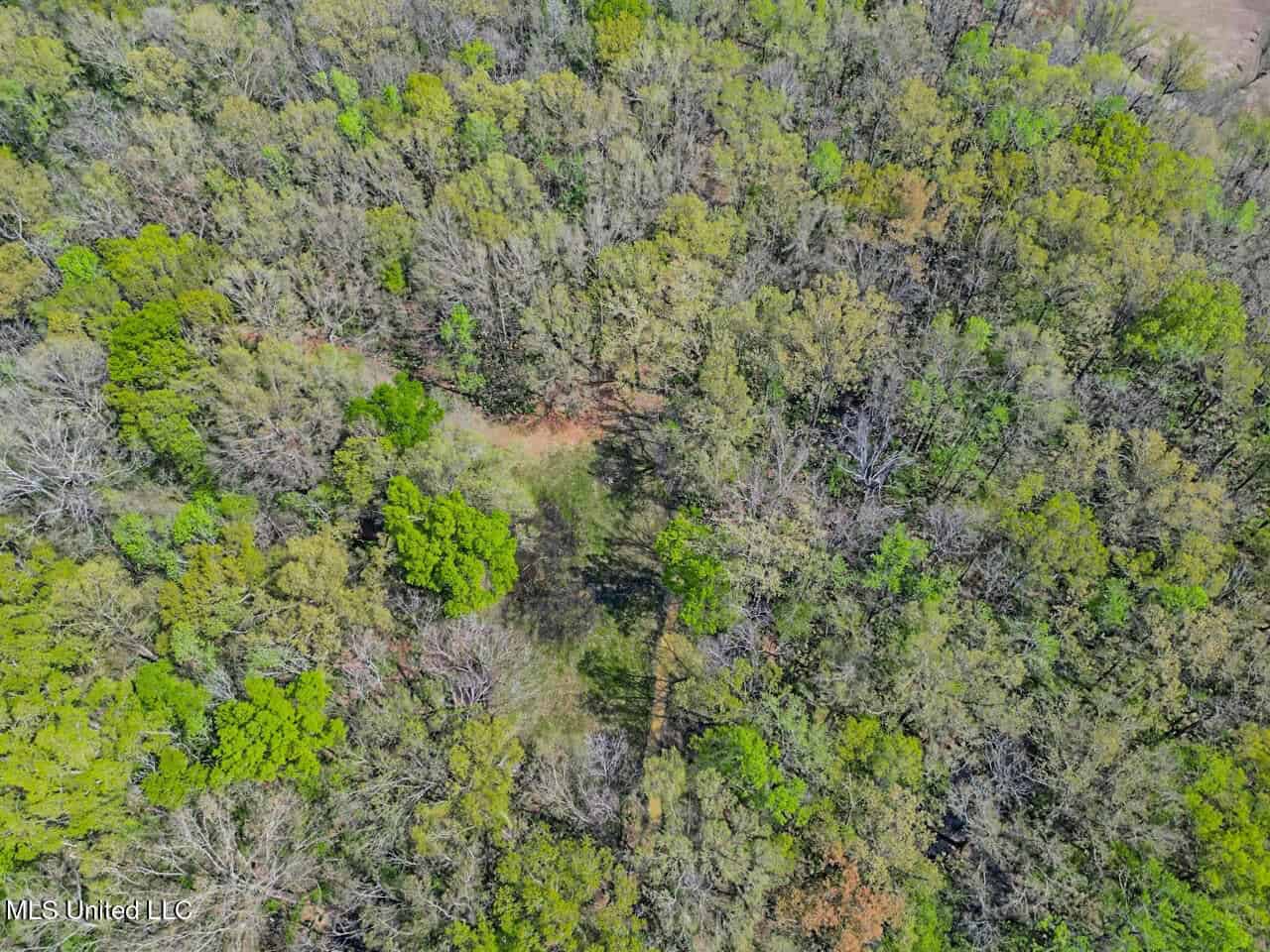 Great Duck/Deer Combo in Concordia Parish