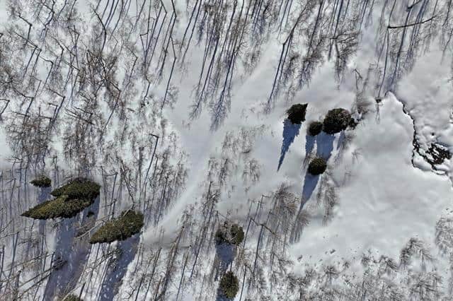 Colorado Hunting Land For Sale Near Vega State Park