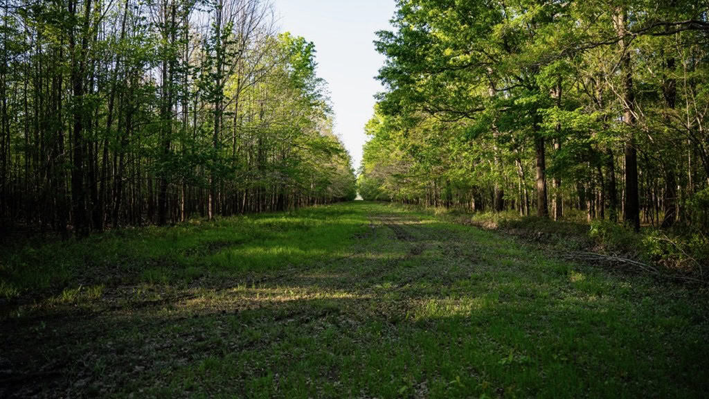Legacy Waterfowl Hunting in the Mississippi Delta