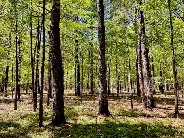 69 Acres For Sale Starkville MS