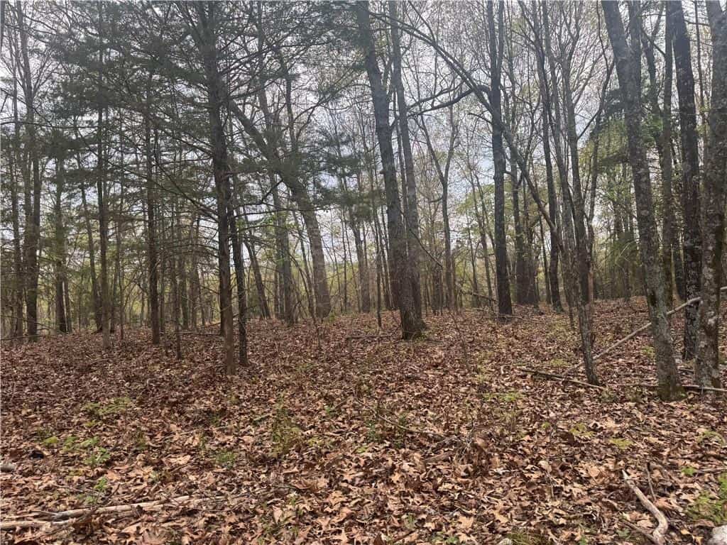 120 Acres Arkansas Hunting Land For Sale with Creek Frontage and Trails