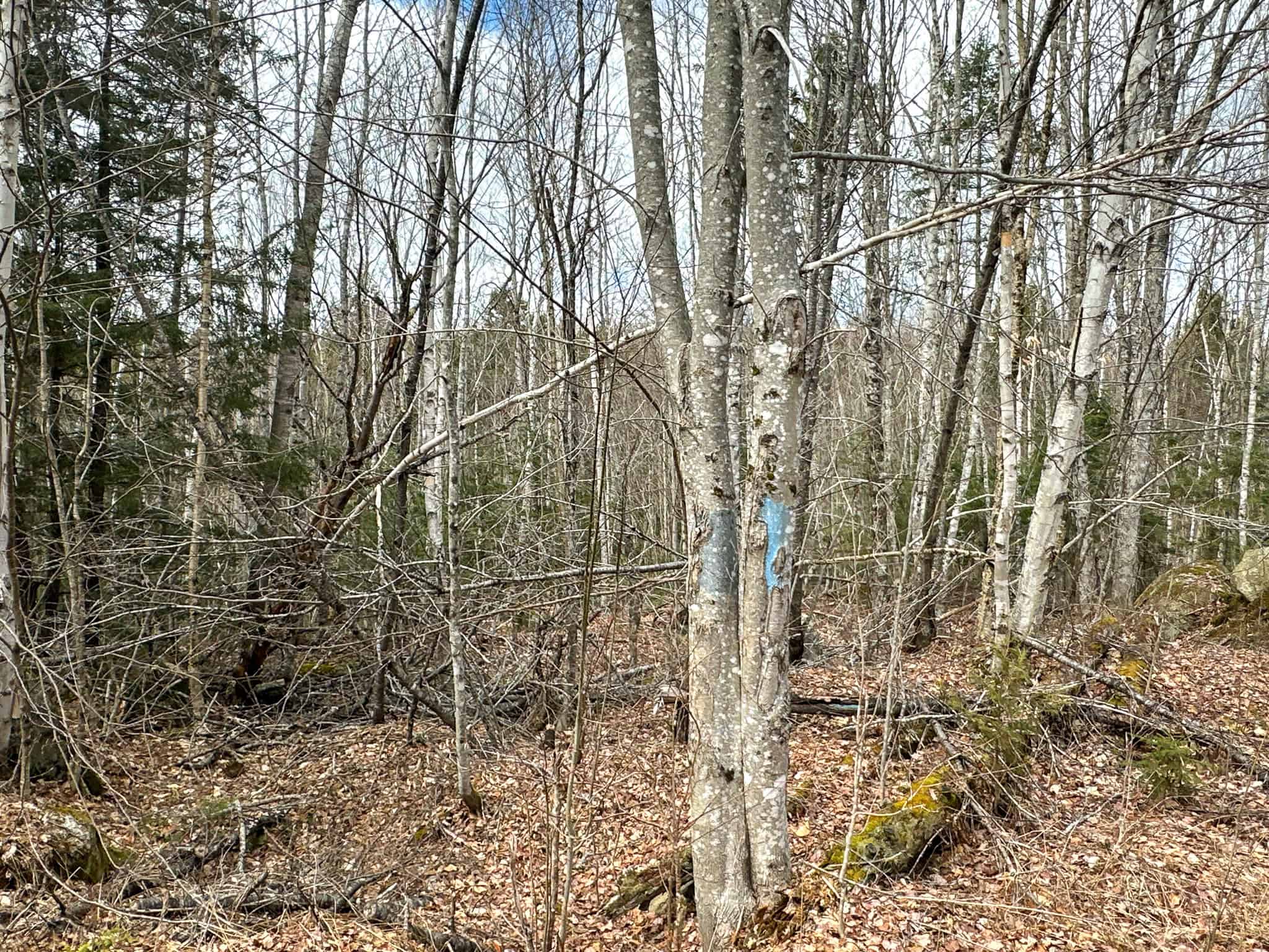 40.8 Acres of Off-Grid Paradise in Lakeville, Maine