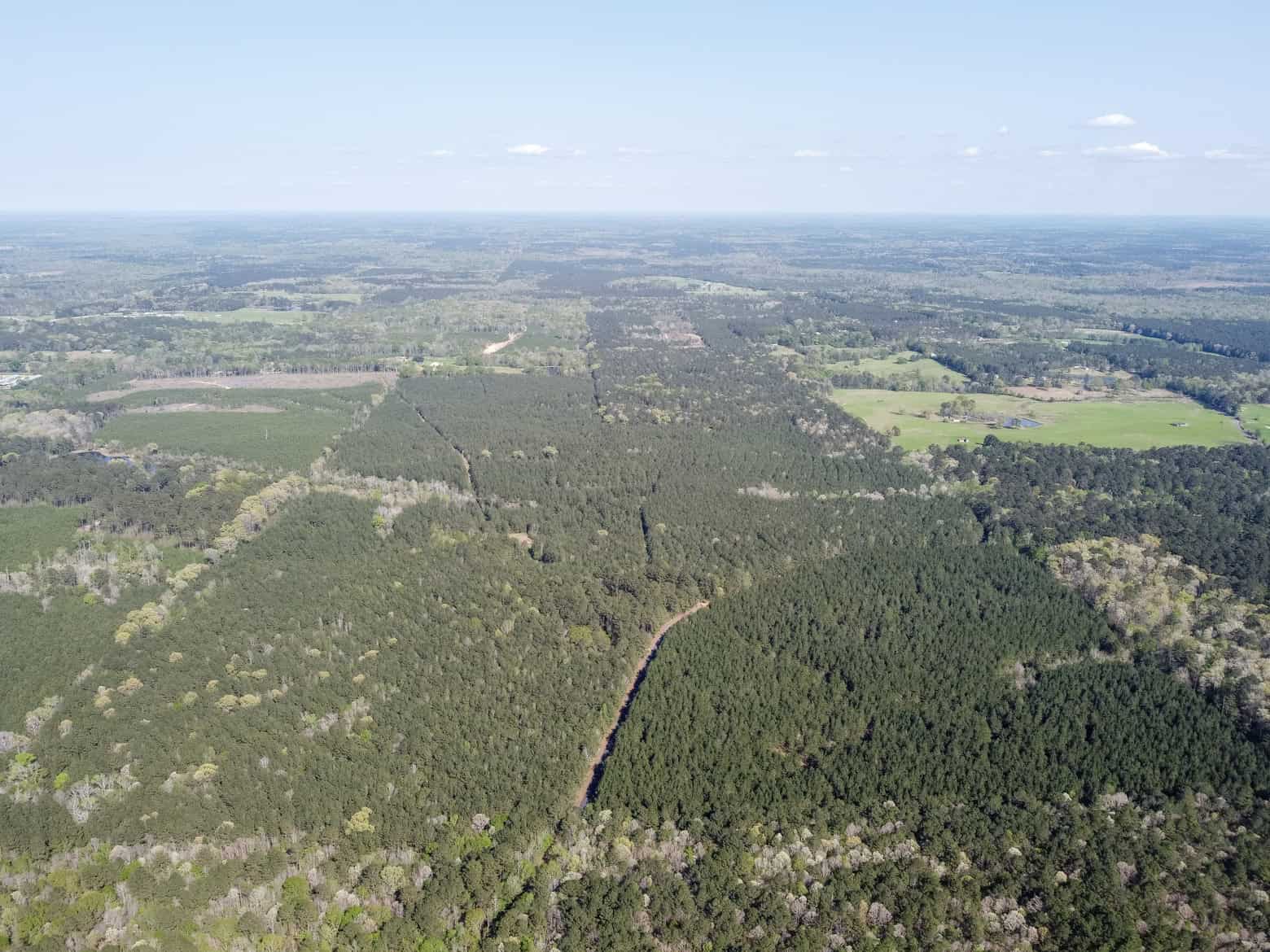 Longstraw 53 (Tract 2) Jackson Parish Timberland