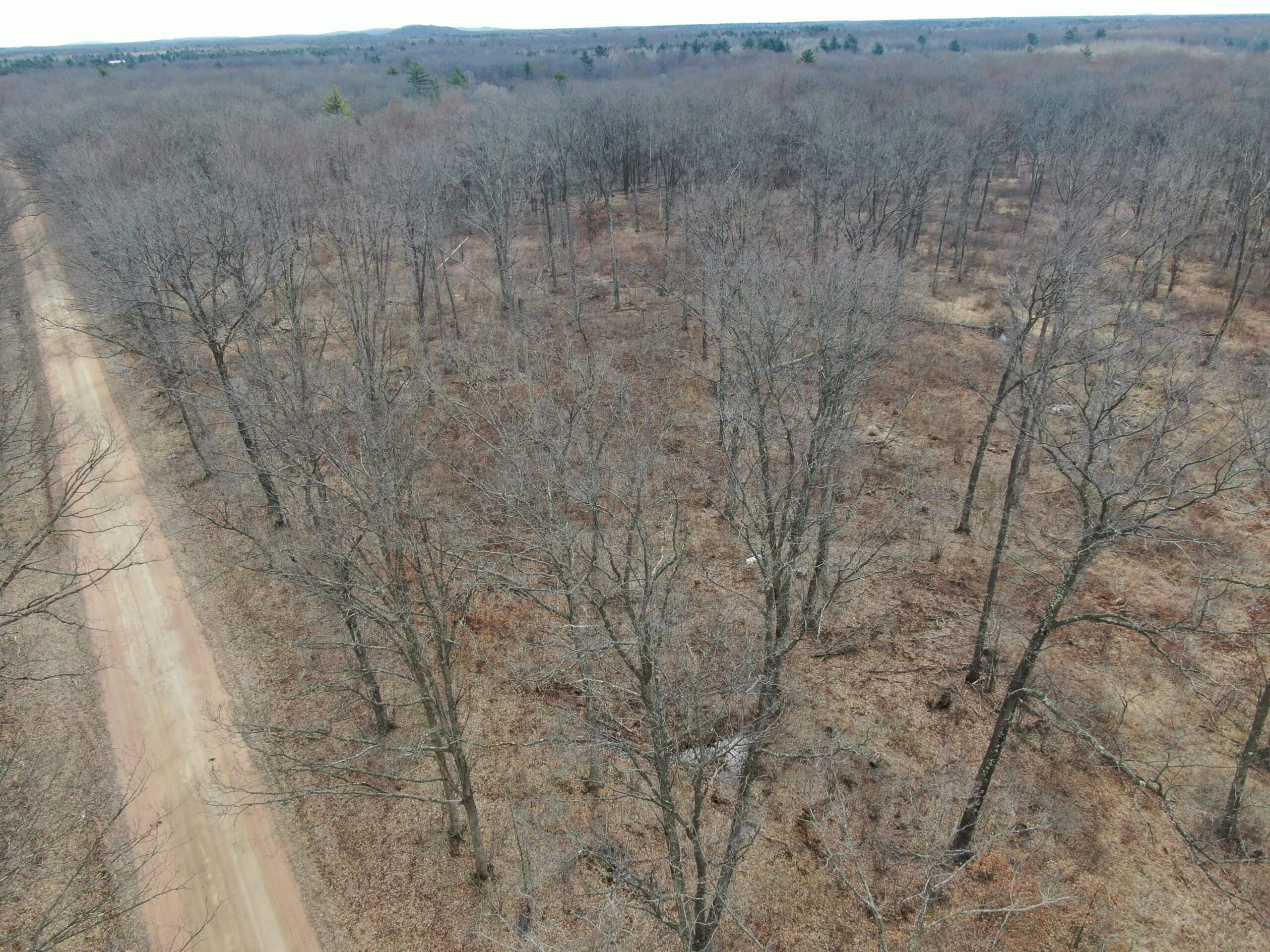 75-acre parcel in the heart of Clark County Wisconsin