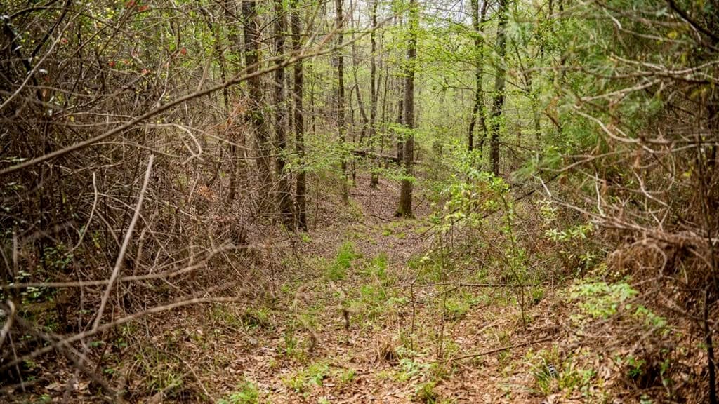Affordable Property in Woodville, MS