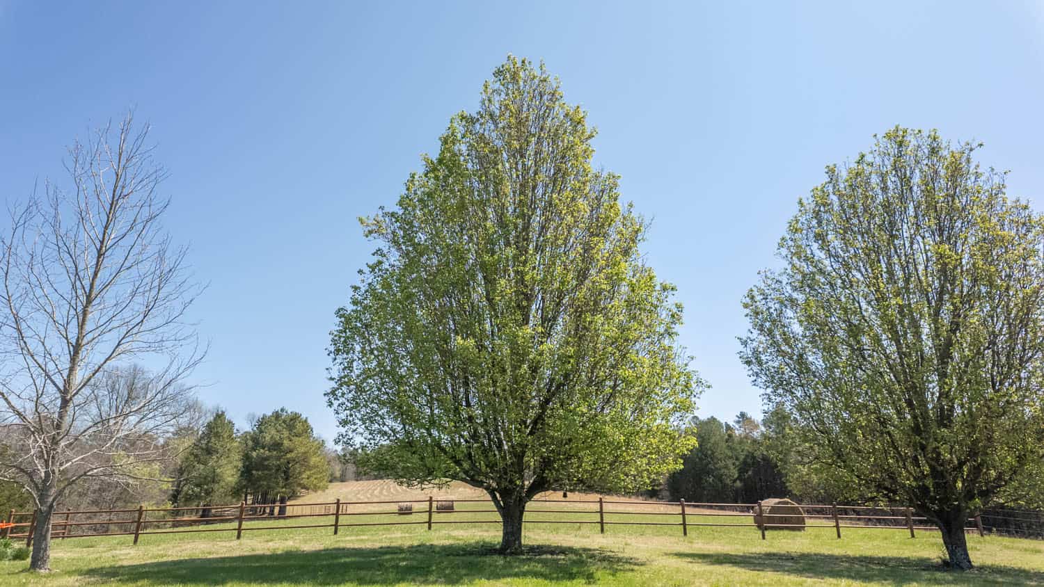 Home and Farm for sale in the Northern Arkansas Ozarks