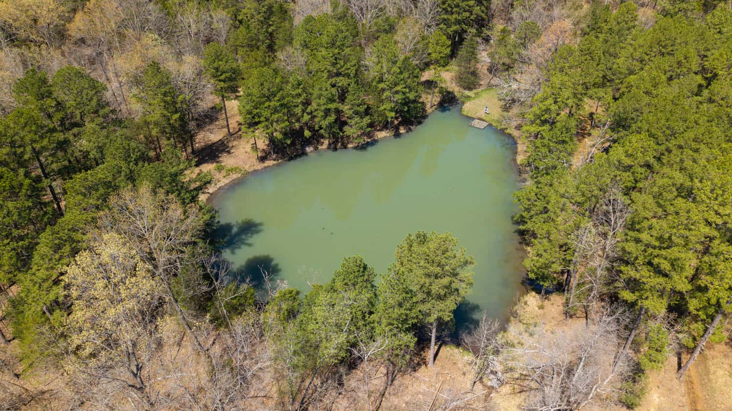 Home and Farm for sale in the Northern Arkansas Ozarks