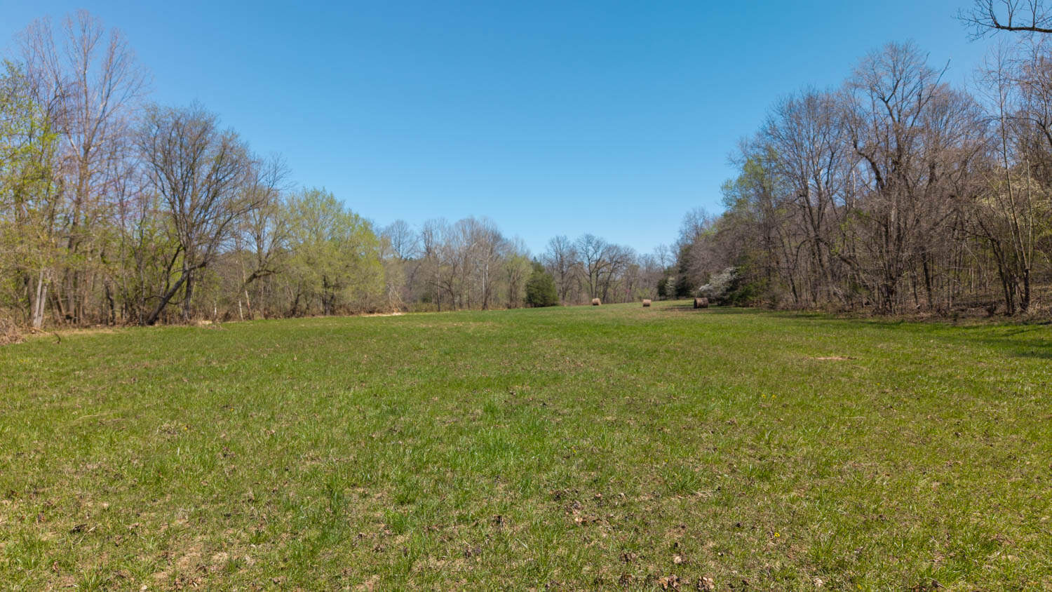 Home and Farm for sale in the Northern Arkansas Ozarks