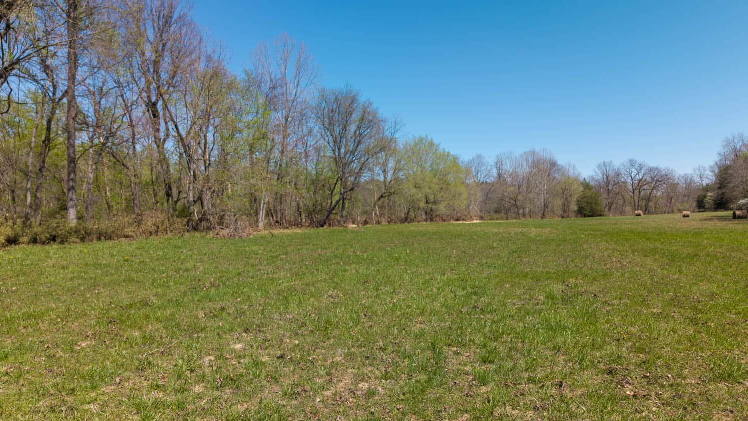 Home and Farm for sale in the Northern Arkansas Ozarks