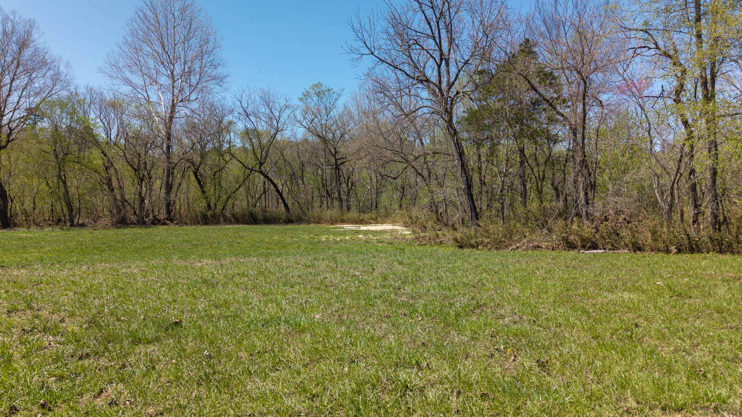 Home and Farm for sale in the Northern Arkansas Ozarks