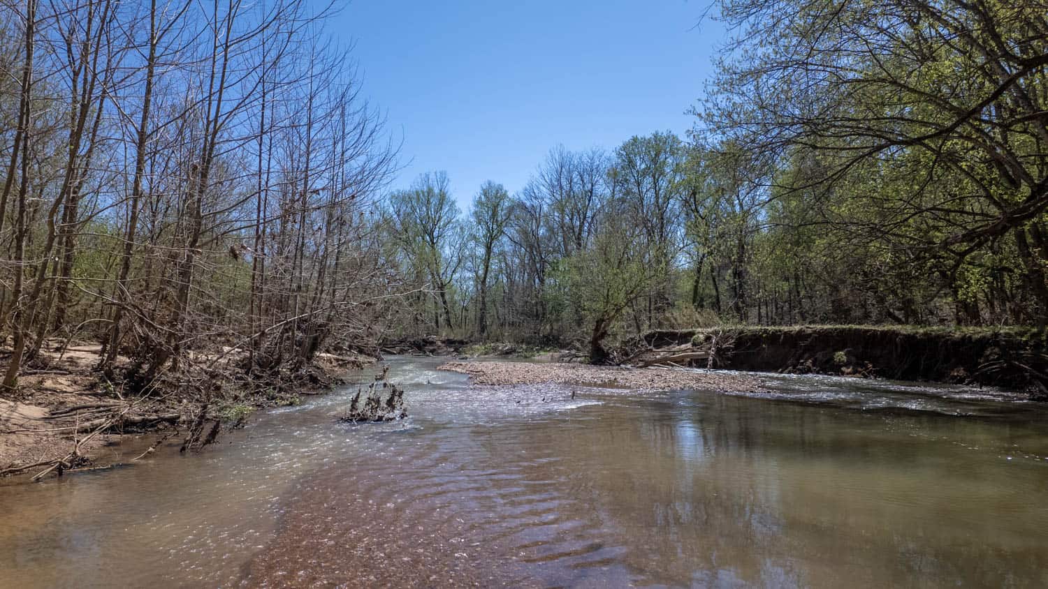 Home and Farm for sale in the Northern Arkansas Ozarks