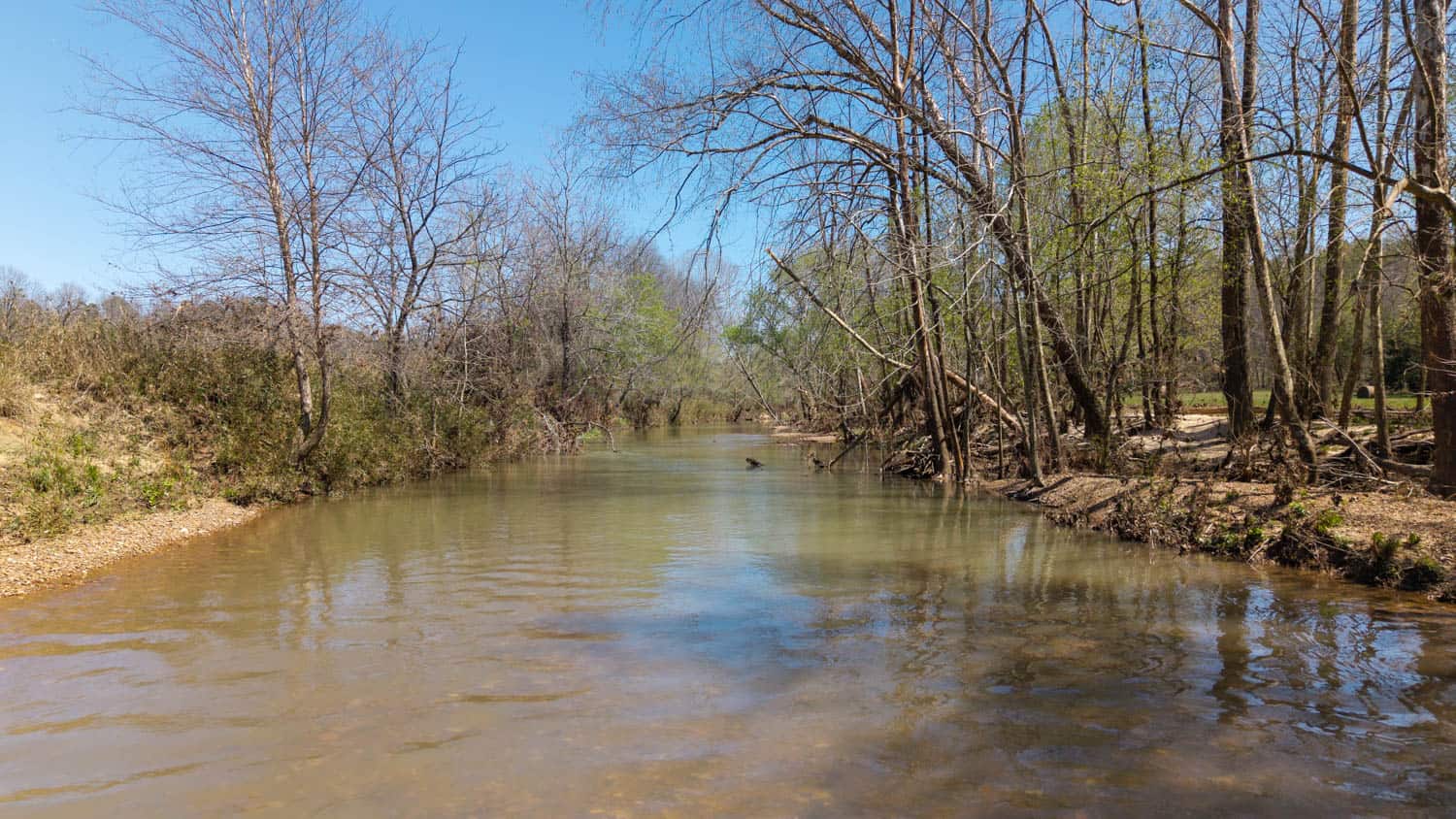 Home and Farm for sale in the Northern Arkansas Ozarks