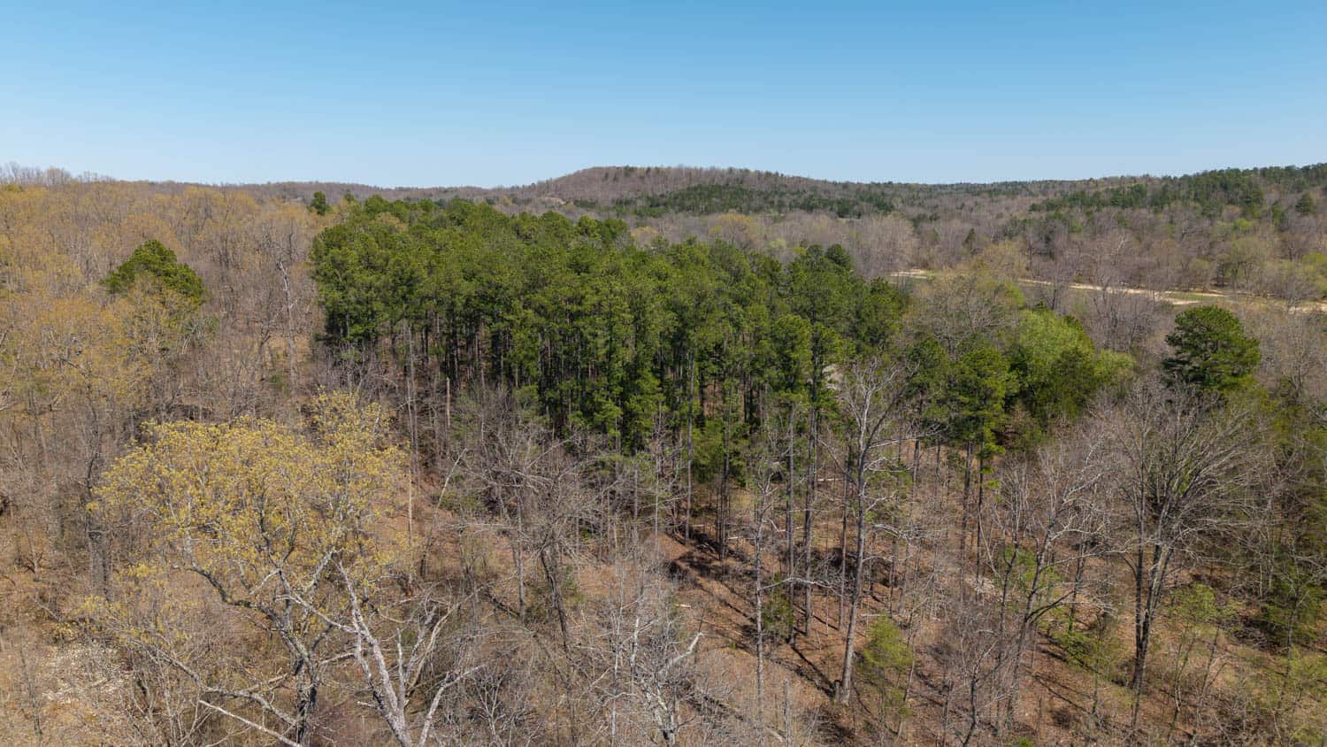 Home and Farm for sale in the Northern Arkansas Ozarks