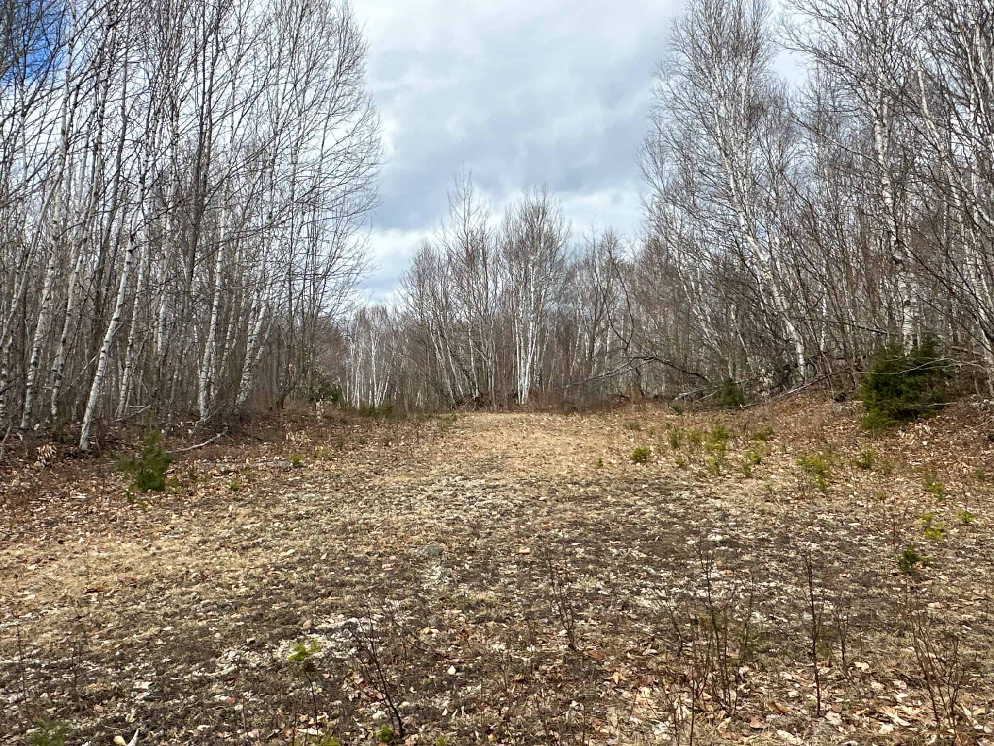 40.8 Acres of Off-Grid Paradise in Lakeville, Maine