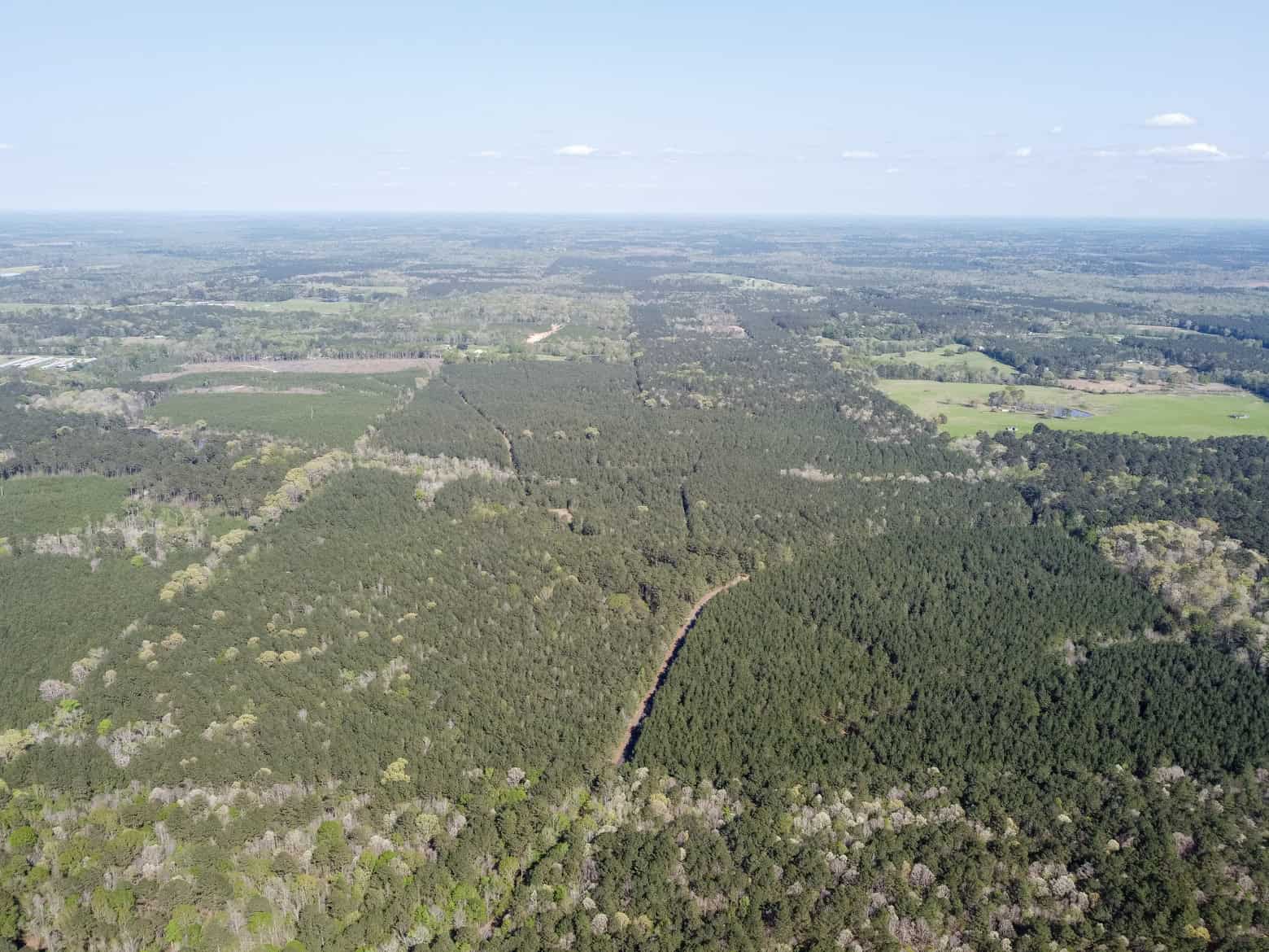 Longstraw 53 (Tract 2) Jackson Parish Timberland