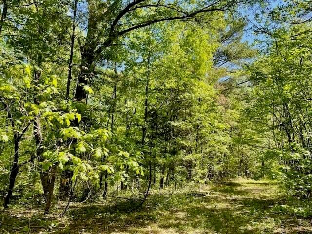 69 Acres For Sale Starkville MS