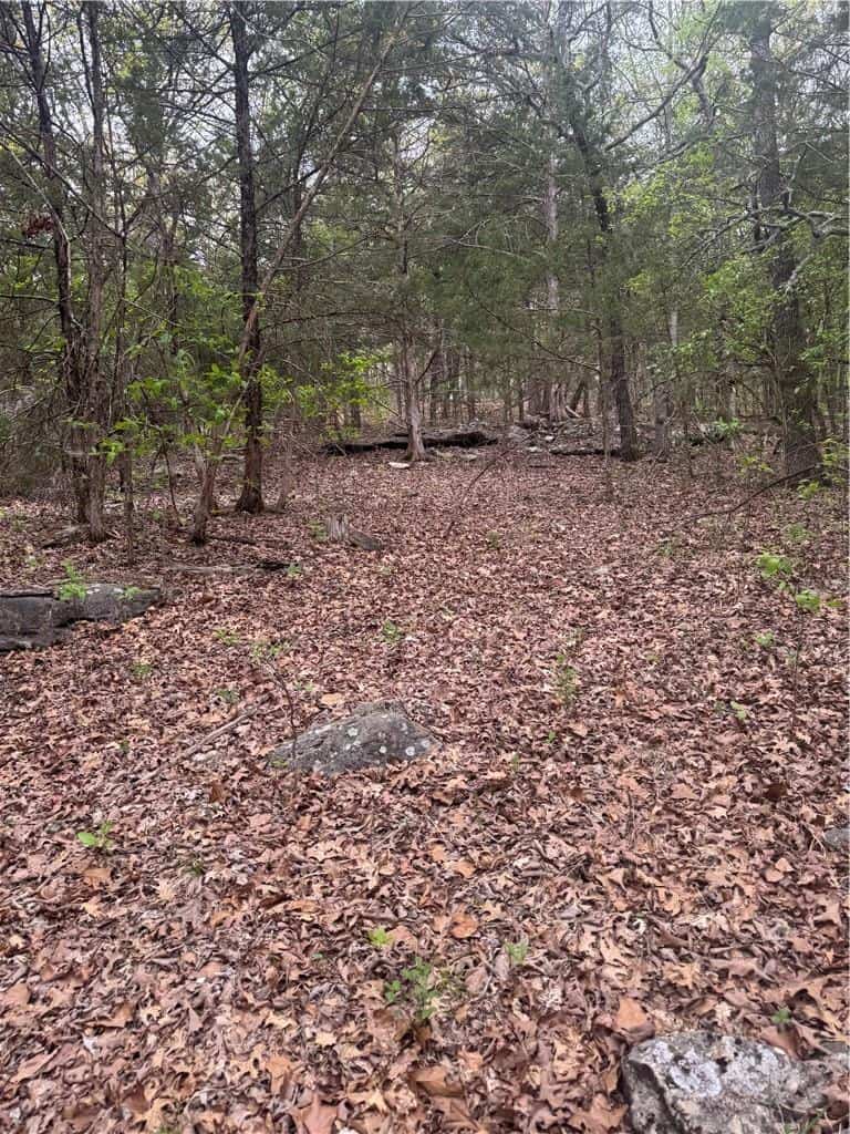 120 Acres Arkansas Hunting Land For Sale with Creek Frontage and Trails