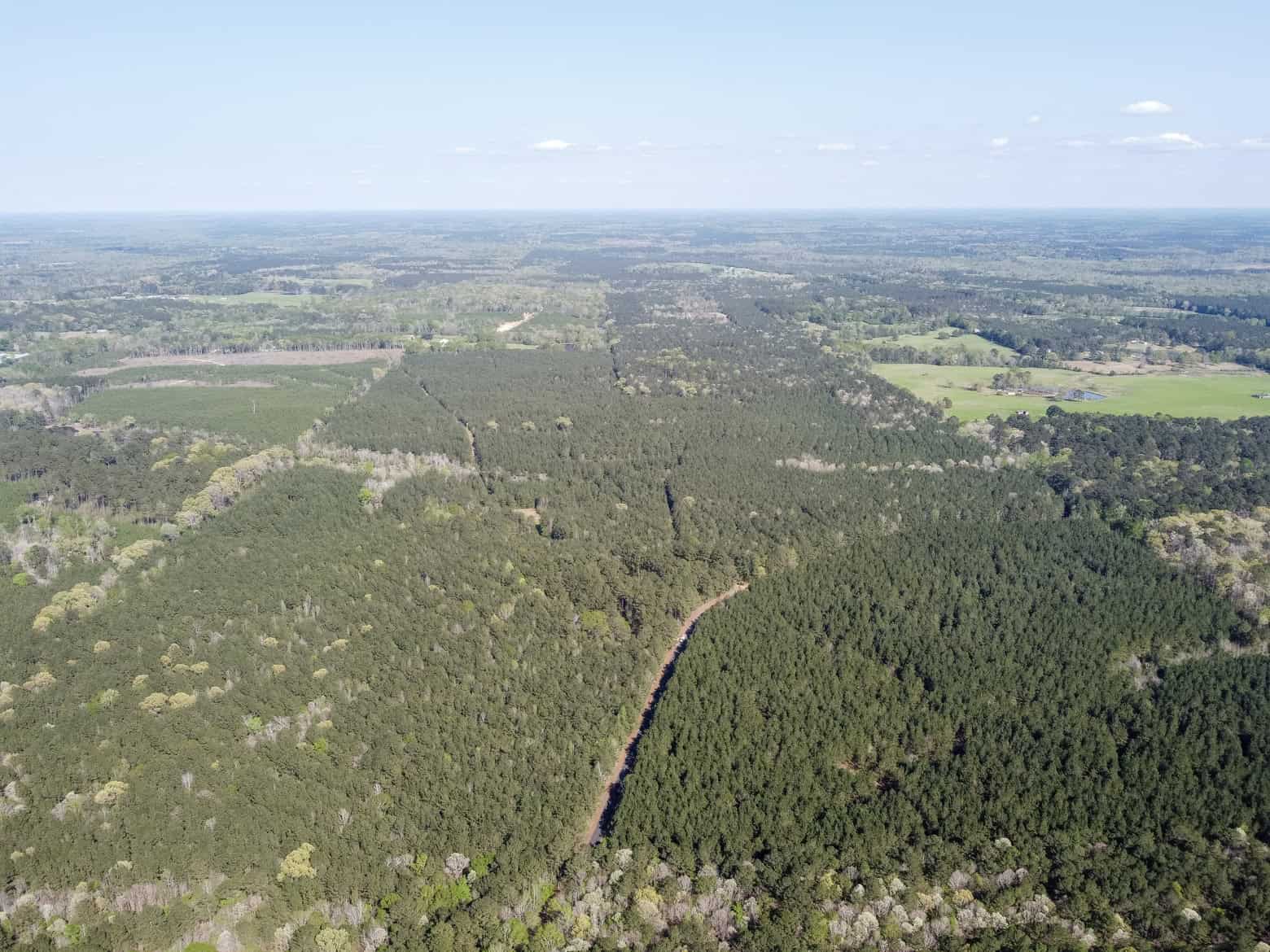 Longstraw 53 (Tract 2) Jackson Parish Timberland