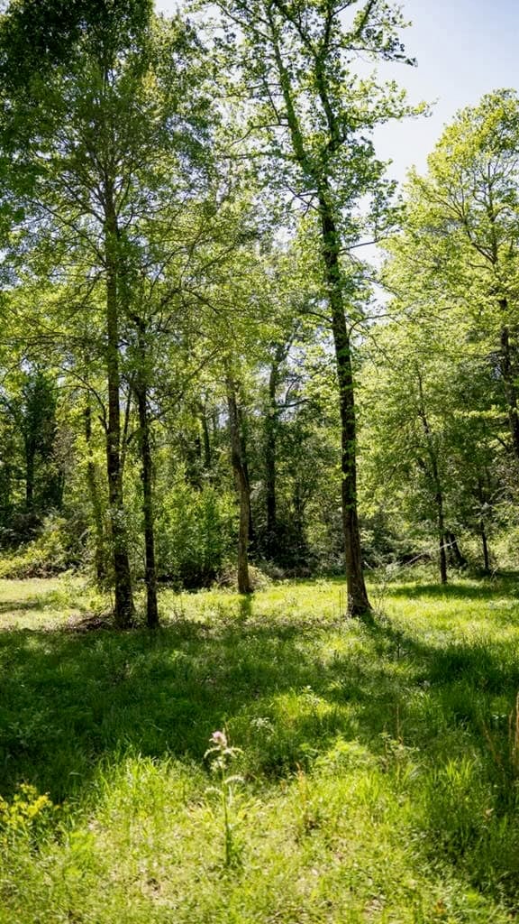 Deer and Turkey Property in Pike County, MS