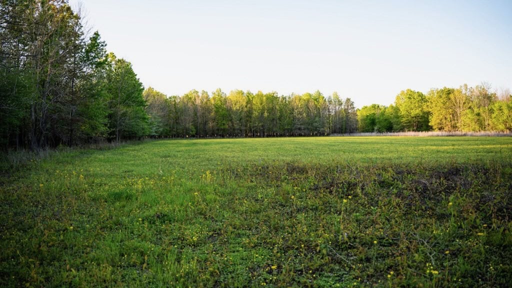 Legacy Waterfowl Hunting in the Mississippi Delta