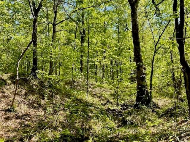 69 Acres For Sale Starkville MS