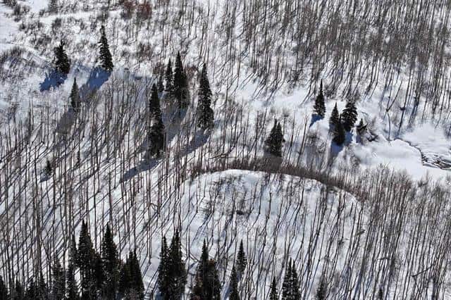 Colorado Hunting Land For Sale Near Vega State Park