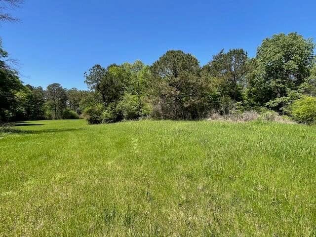 40 Acres For Sale Starkville MS