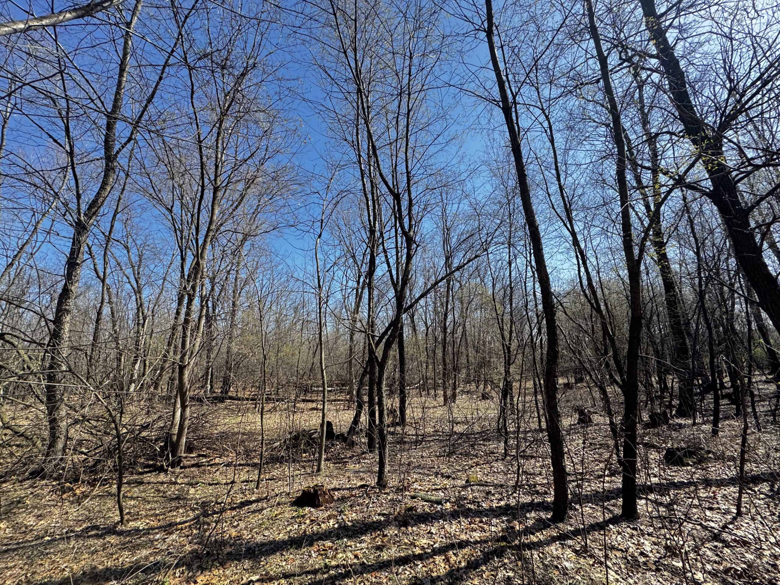 2 Properties Marquette County Online Only Auction