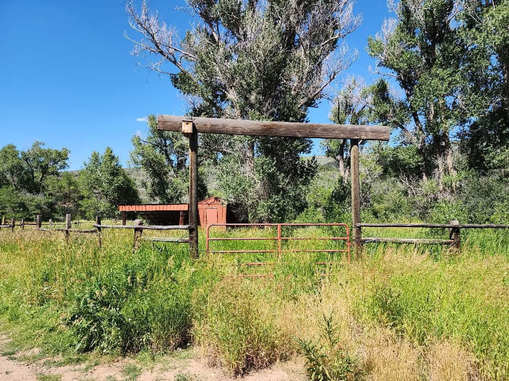 Cabin on 36 Acres with National Forest Access