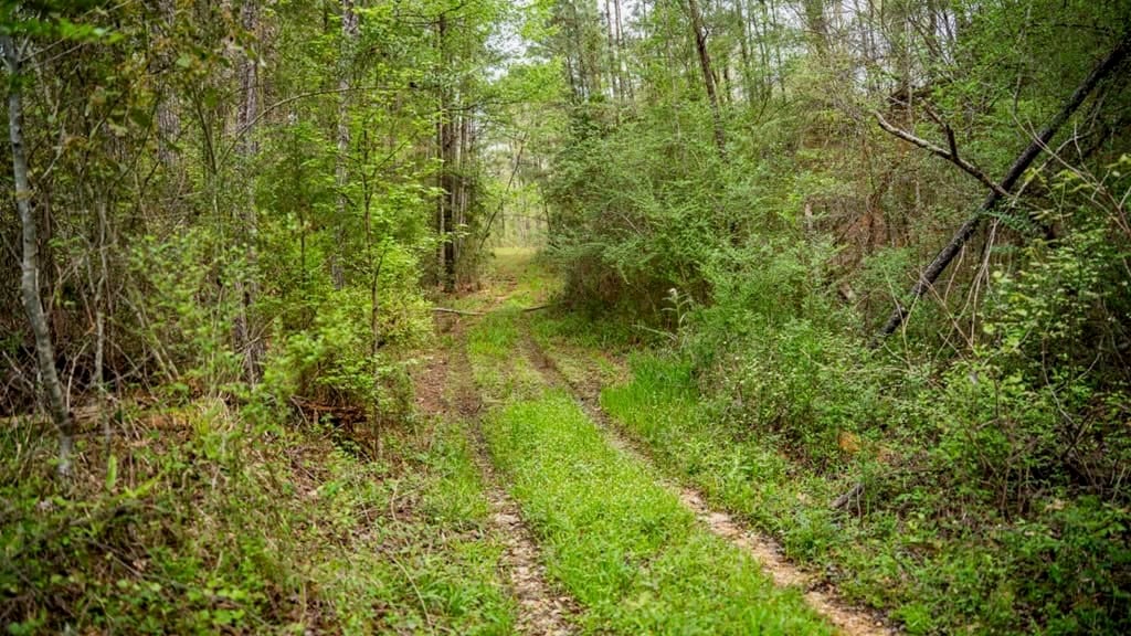 Affordable Property in Woodville, MS