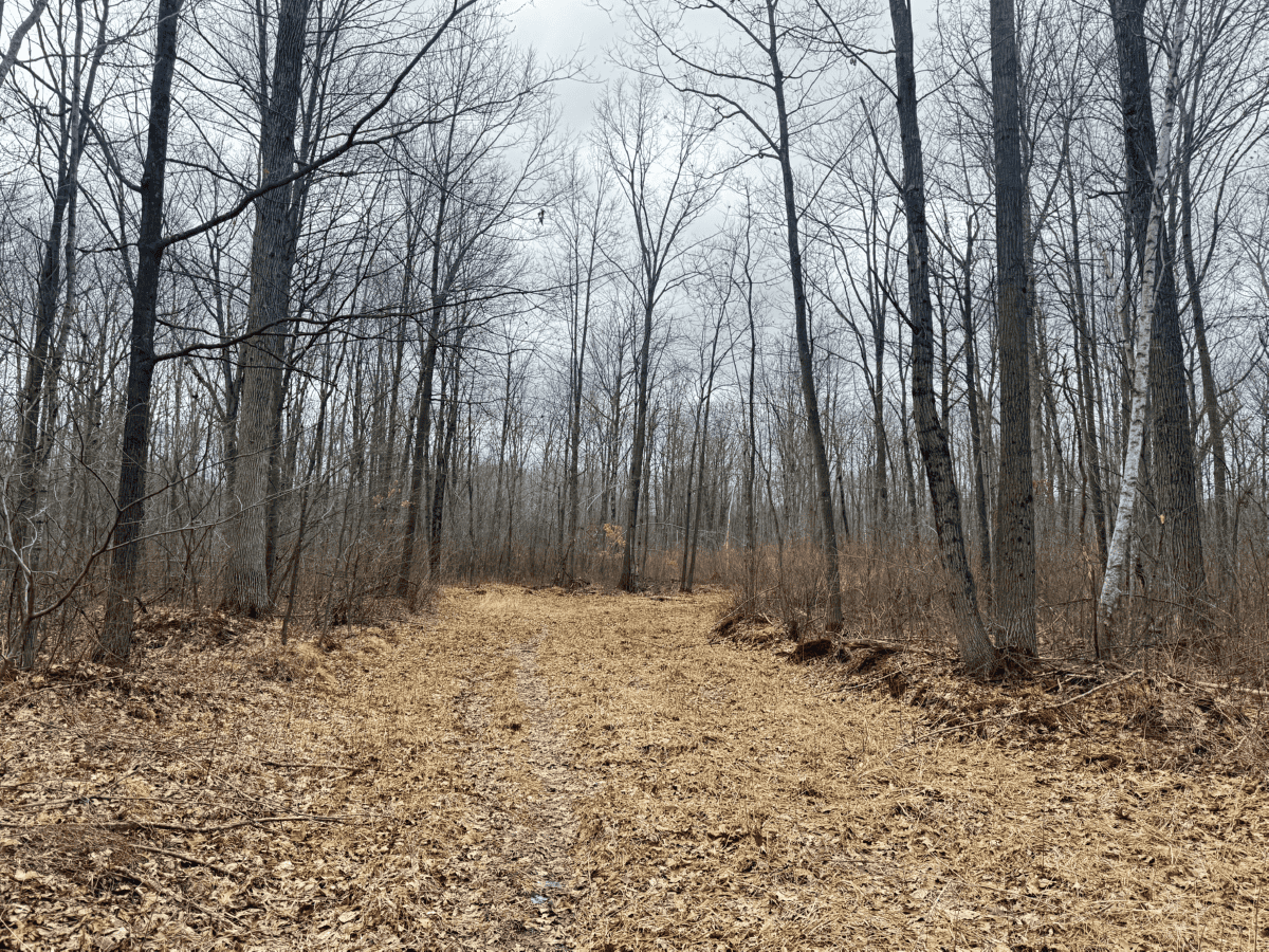 75-acre parcel in the heart of Clark County Wisconsin