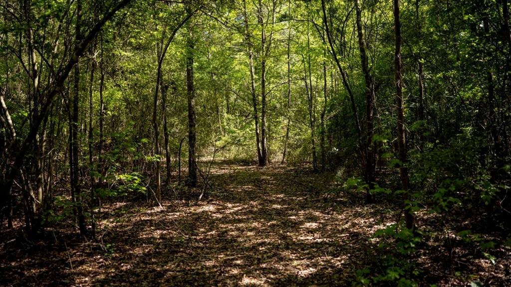 Deer and Turkey Property in Pike County, MS