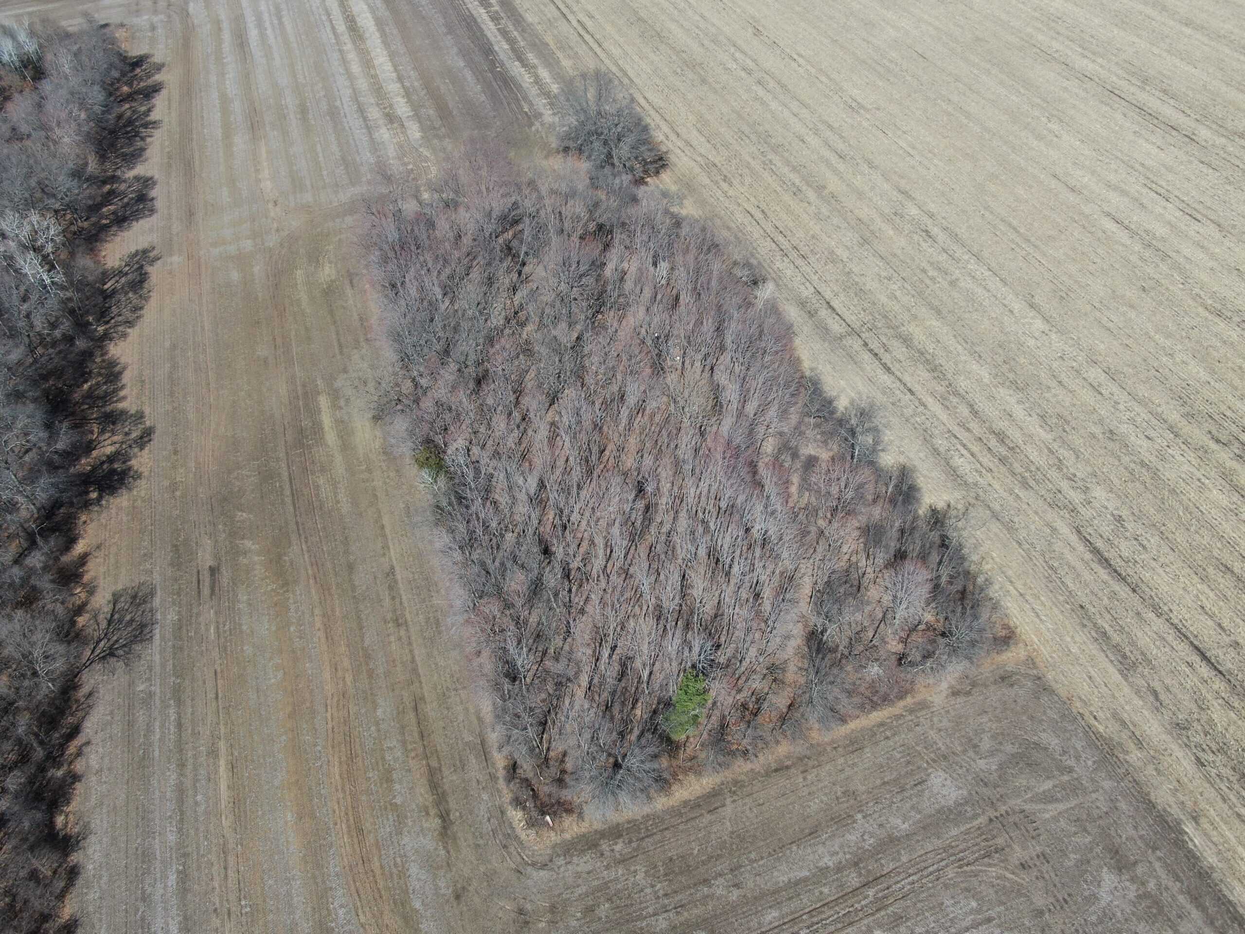 66.48 Acres located in the Town of Lewiston Columbia County