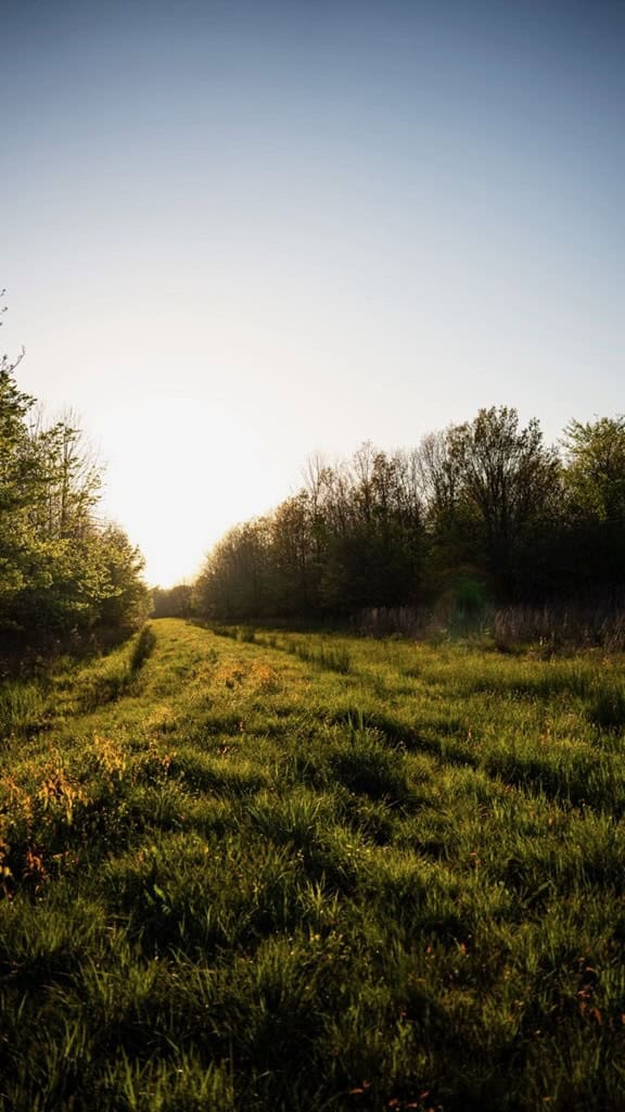 Legacy Waterfowl Hunting in the Mississippi Delta