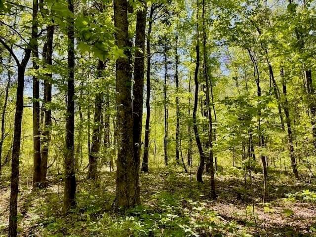 69 Acres For Sale Starkville MS